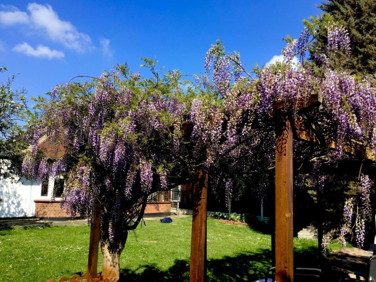 罗奇福德Westbury House别墅 外观 照片